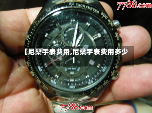 【尼桑手表费用,尼桑手表费用多少】-第2张图片
