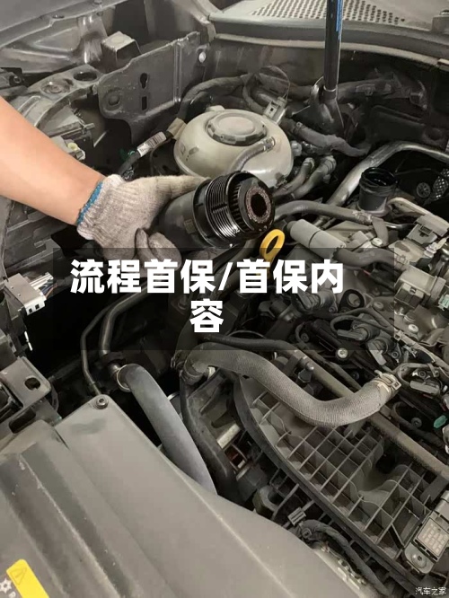 流程首保/首保内容-第2张图片