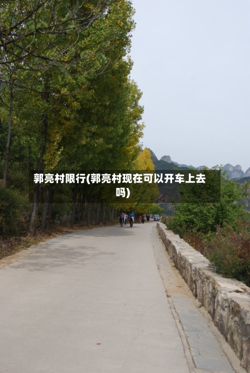 郭亮村限行(郭亮村现在可以开车上去吗)-第2张图片