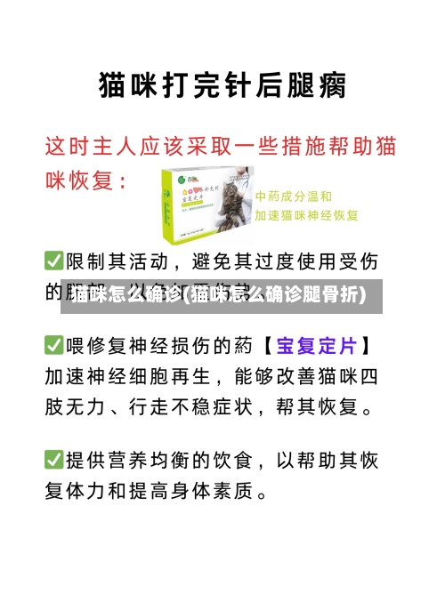 猫咪怎么确诊(猫咪怎么确诊腿骨折)-第2张图片