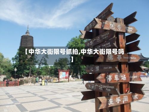 【中华大街限号抓拍,中华大街限号吗】-第2张图片