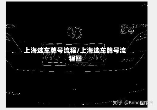 上海选车牌号流程/上海选车牌号流程图