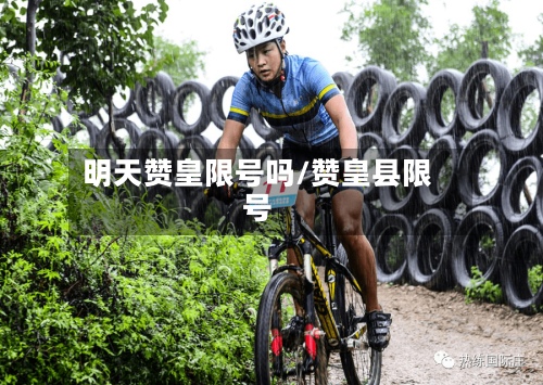 明天赞皇限号吗/赞皇县限号-第2张图片
