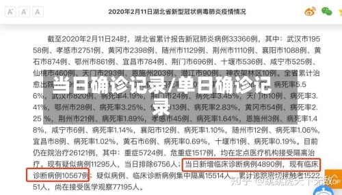 当日确诊记录/单日确诊记录