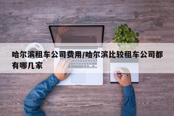 哈尔滨租车公司费用/哈尔滨比较租车公司都有哪几家